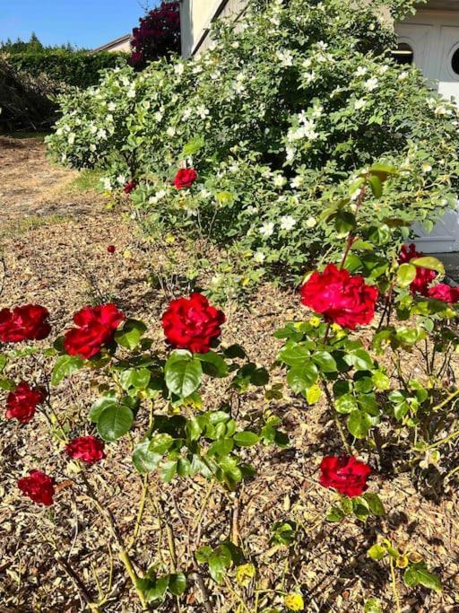 Gite De La Petite Fourmy Saint-Sulpice-les-Feuilles Eksteriør bilde